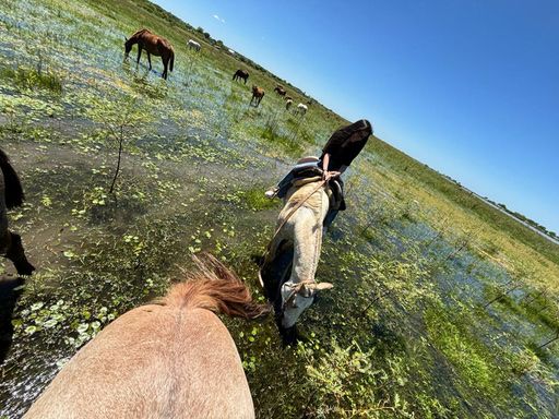 Cabalgatas Victoria
